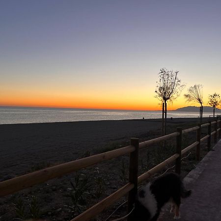 Casa Las Toro Playa تشايلتشيس المظهر الخارجي الصورة